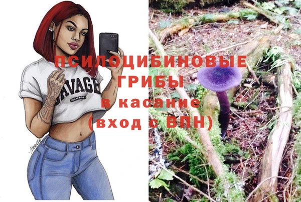 apvp Киренск