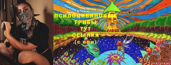 сатива Пенза