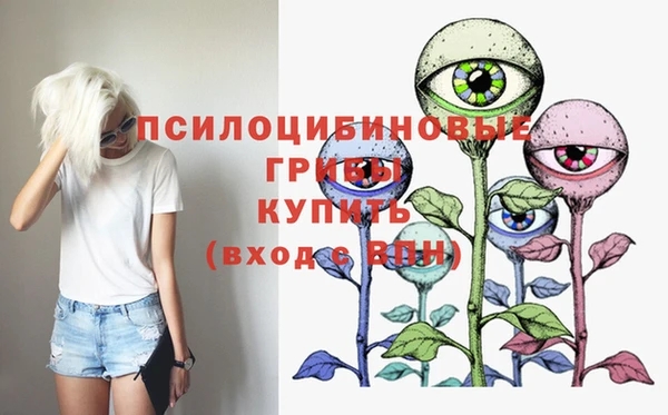 apvp Киренск